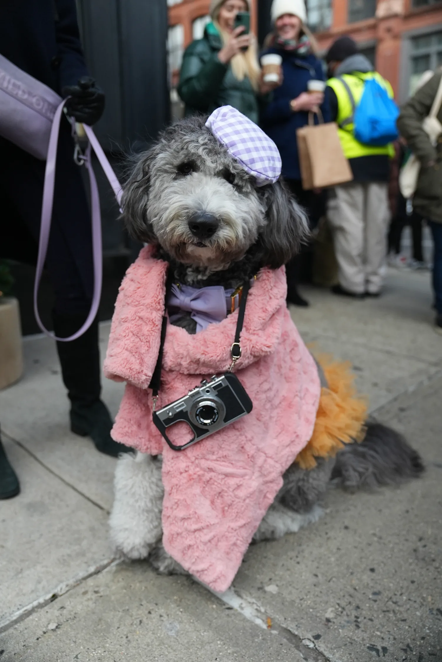 Emily in Little Paris NYC