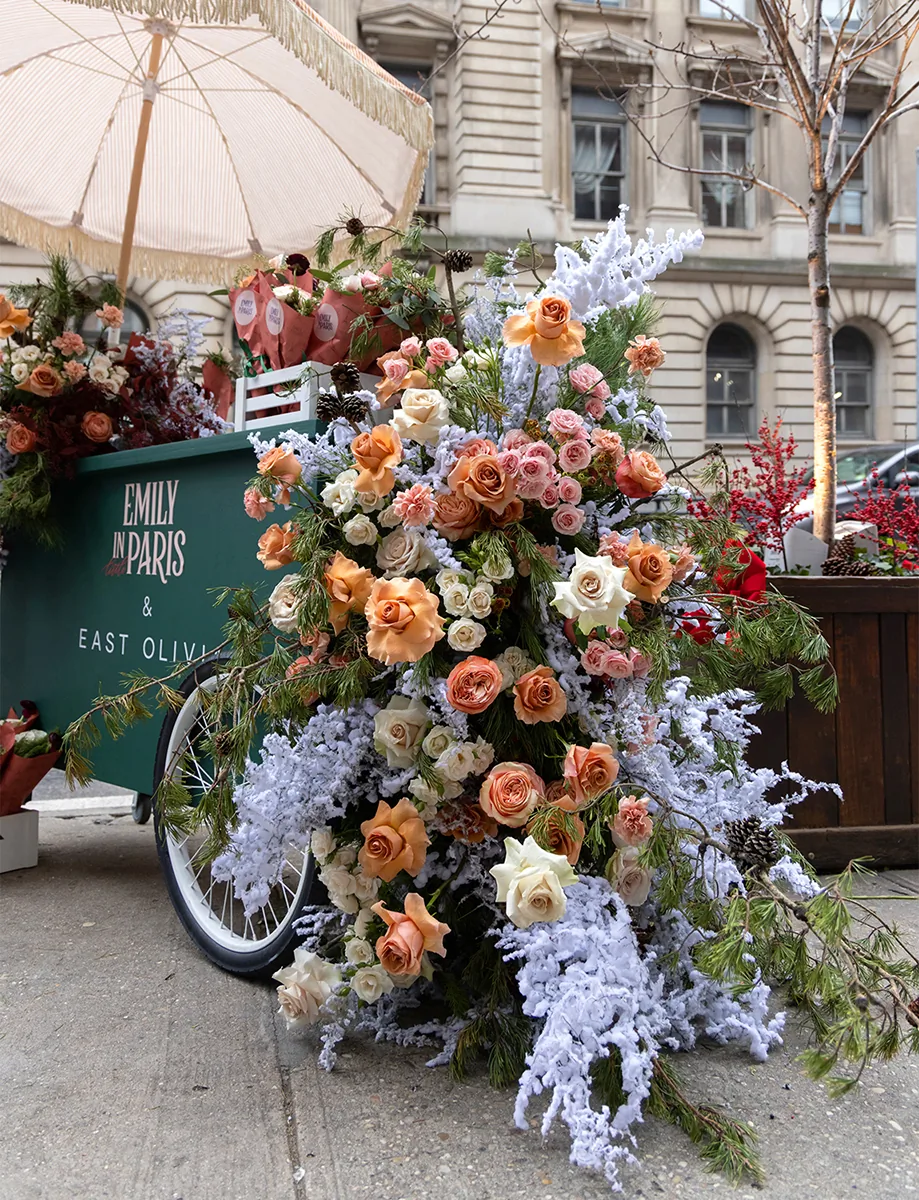 Emily in Little Paris NYC